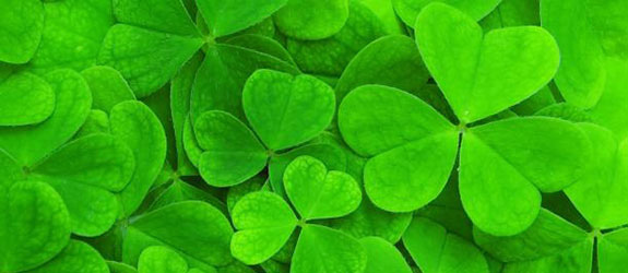St. Patrick's Day